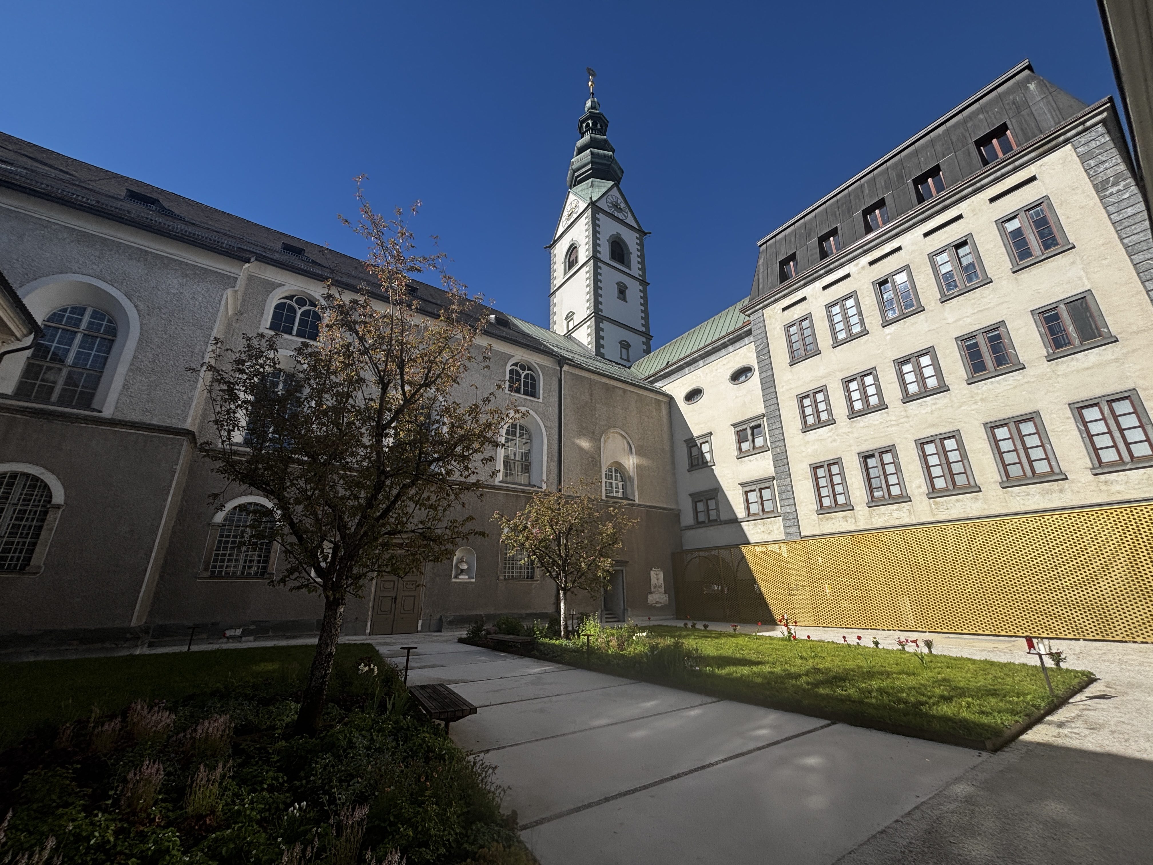Das Paradies am Dom